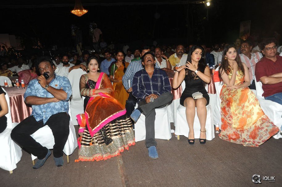 365-Days-Movie-Audio-Launch